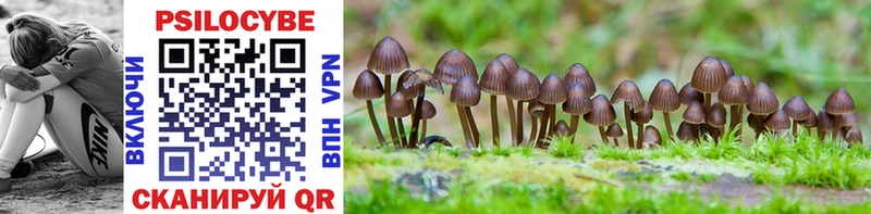 Галлюциногенные грибы Cubensis Дальнереченск